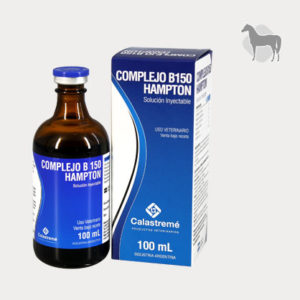 Complejo B150 Hampton