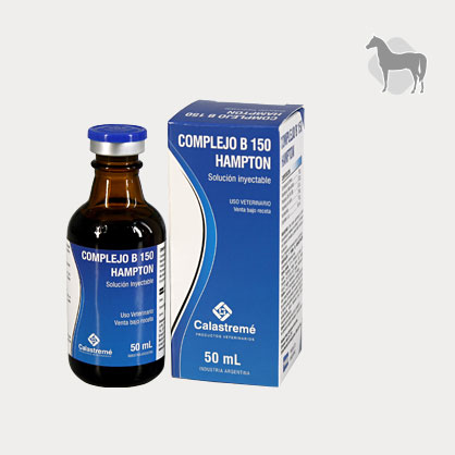 Complejo B150 Hampton - Imagen 2