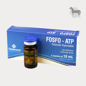 Fosfo ATP