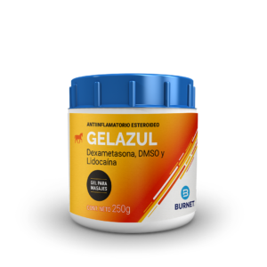 Gel Azul
