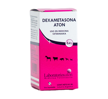 Dexametasona