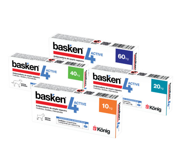 Basken 4 Active