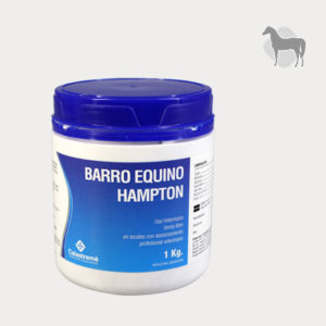 Barro Equino