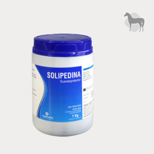 Solipedina