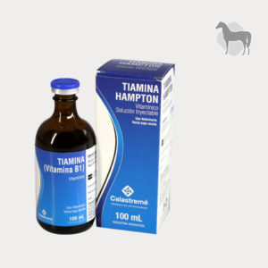 Tiamina