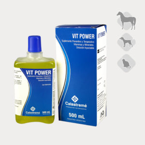 Vit Power