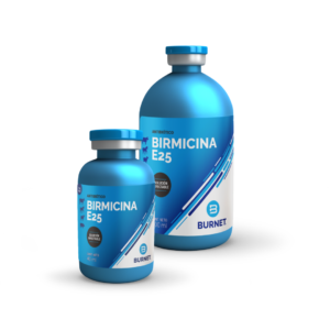 Birmicina E25