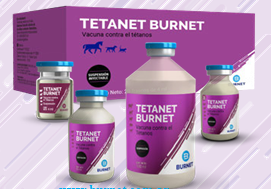 Tetanet - Imagen 2