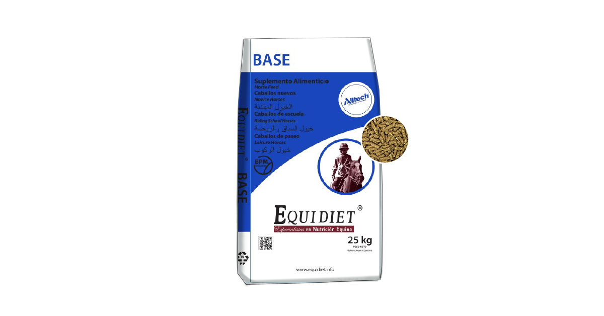 Base
