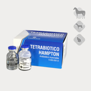 Tetrabiótico Hamptom