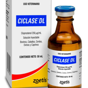 Ciclase DL