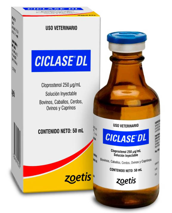 Ciclase DL