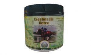 Creatina AA
