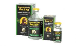 Dex A Vet