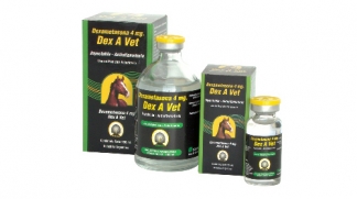 Dex A Vet