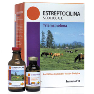 Estreptocilina