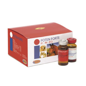 Poten Forte