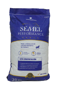 Semel Performance