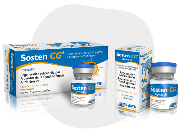 Sosten CG