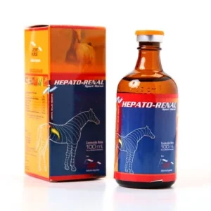 Hepato Renal