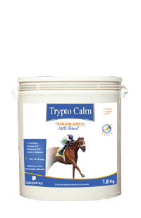 Trypto Calm
