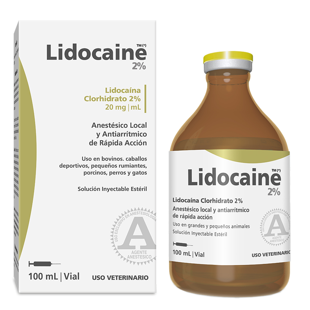 Lidocaine 2%