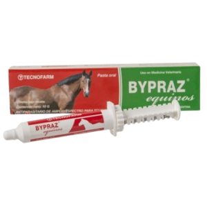 Bypraz Equinos