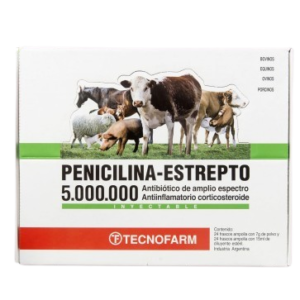 Penicilina Estrepto 5.000.000